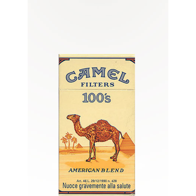 Camel 100 Box 1 Pack