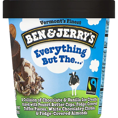 Ben & Jerrys Everything But Ice Cream 10oz Carton